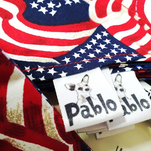 3 for $15* Patriotic Over The Collar Dog Bandana - Picture 7 of 10